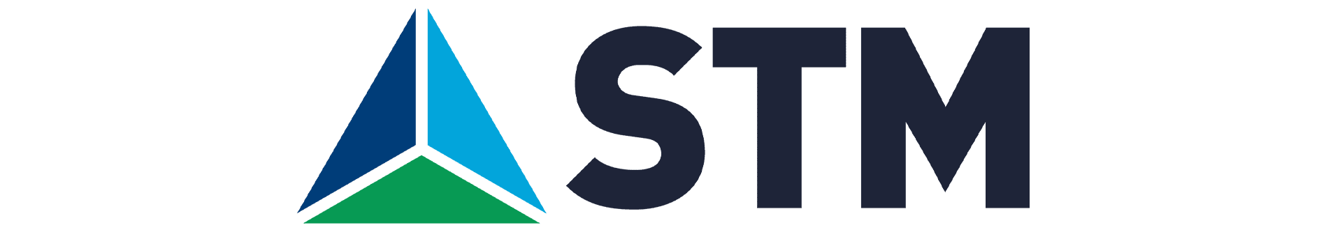 STM Logo